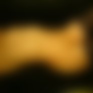 olison2629 (44 Jahre) sucht Sexkontakte und One night stand in Adelshofen