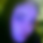 Luzifee777 (32 Jahre) sucht Sexkontakte und Kontakte in Rems-Murr-Kreis